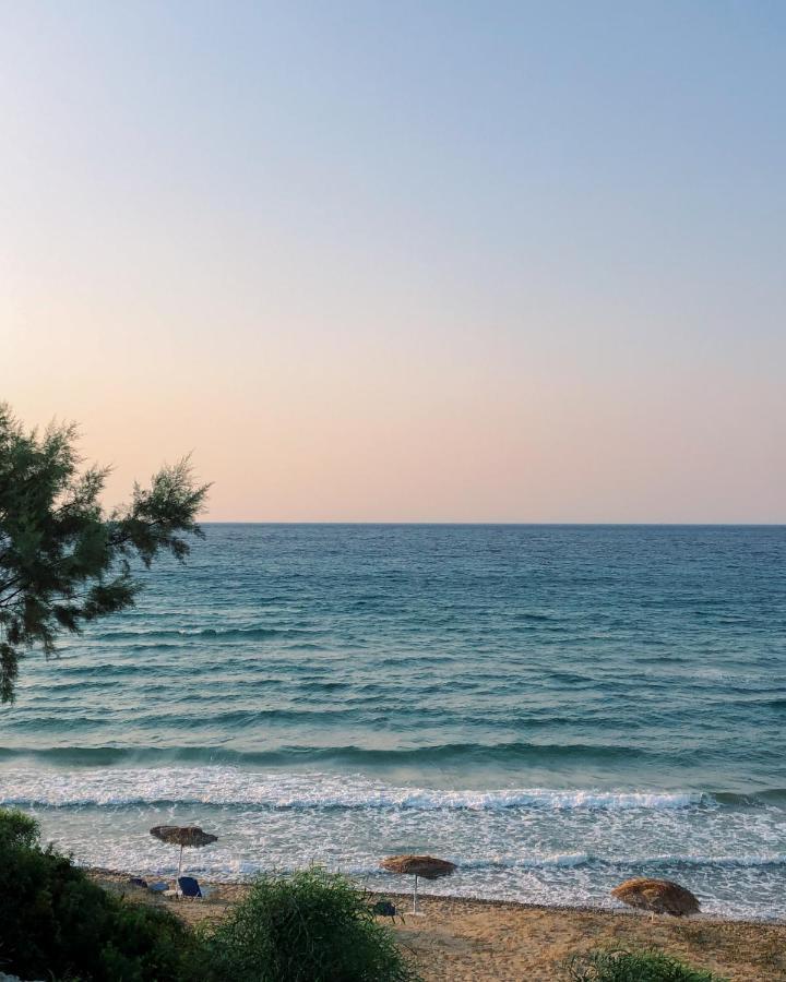 Stamiris Beach Hotel Vasilikí Exteriör bild